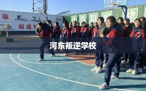 河东叛逆学校