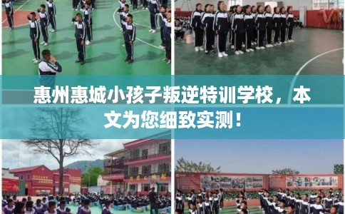 惠州惠城小孩子叛逆特训学校，本文为您细致实测！