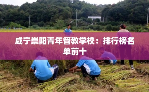 咸宁崇阳青年管教学校：排行榜名单前十