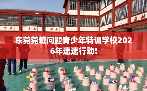 东莞莞城问题青少年特训学校2026年速速行动!