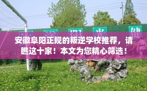 安徽阜阳正规的叛逆学校推荐，请瞧这十家！本文为您精心筛选！