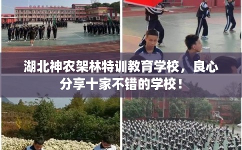 湖北神农架林特训教育学校，良心分享十家不错的学校！