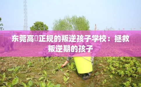 东莞高埗正规的叛逆孩子学校：拯救叛逆期的孩子