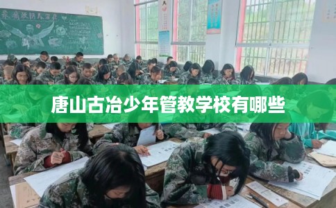 唐山古冶少年管教学校有哪些