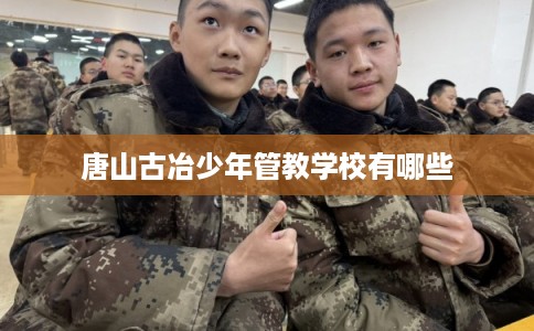 唐山古冶少年管教学校有哪些