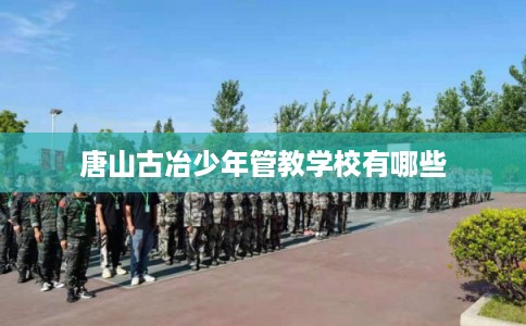 唐山古冶少年管教学校有哪些