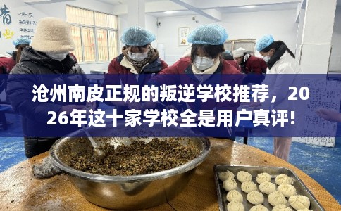 沧州南皮正规的叛逆学校推荐，2026年这十家学校全是用户真评!