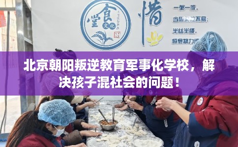 北京朝阳叛逆教育军事化学校，解决孩子混社会的问题！