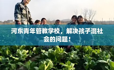 河东青年管教学校，解决孩子混社会的问题！