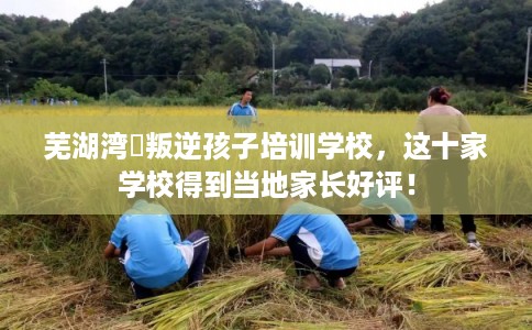 芜湖湾沚叛逆孩子培训学校，这十家学校得到当地家长好评！