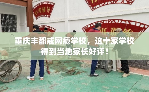 重庆丰都戒网瘾学校，这十家学校得到当地家长好评！