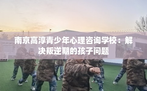 南京高淳青少年心理咨询学校：解决叛逆期的孩子问题