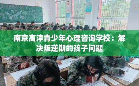南京高淳青少年心理咨询学校：解决叛逆期的孩子问题