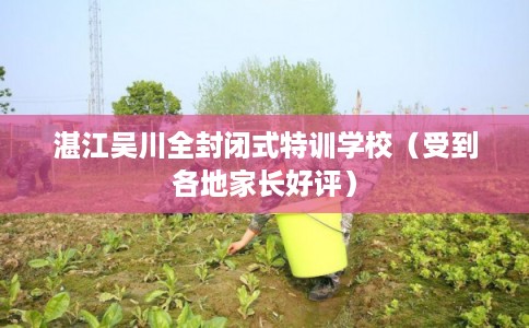 湛江吴川全封闭式特训学校（受到各地家长好评）