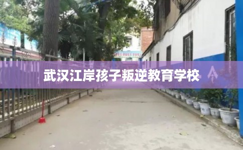 武汉江岸孩子叛逆教育学校