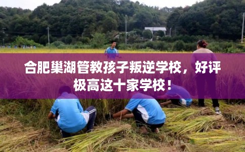 合肥巢湖管教孩子叛逆学校，好评极高这十家学校！