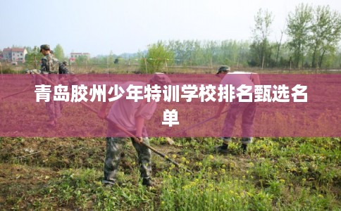青岛胶州少年特训学校排名甄选名单