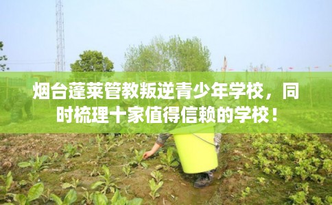 烟台蓬莱管教叛逆青少年学校，同时梳理十家值得信赖的学校！