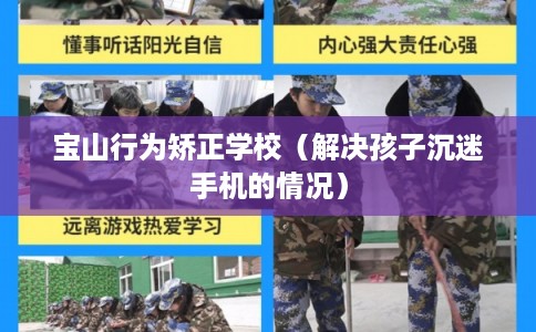 宝山行为矫正学校（解决孩子沉迷手机的情况）