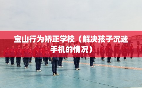 宝山行为矫正学校（解决孩子沉迷手机的情况）