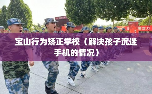 宝山行为矫正学校（解决孩子沉迷手机的情况）