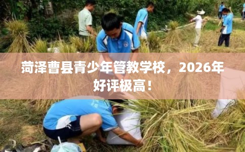 菏泽曹县青少年管教学校，2026年好评极高！