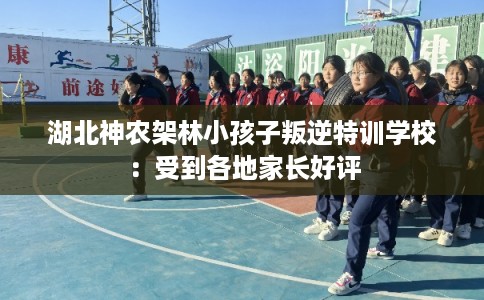 湖北神农架林小孩子叛逆特训学校：受到各地家长好评