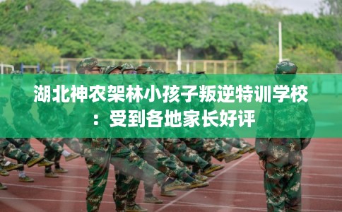 湖北神农架林小孩子叛逆特训学校：受到各地家长好评
