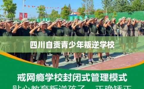 四川自贡青少年叛逆学校
