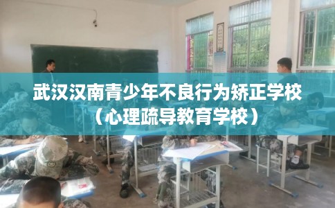 武汉汉南青少年不良行为矫正学校（心理疏导教育学校）