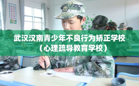 武汉汉南青少年不良行为矫正学校（心理疏导教育学校）
