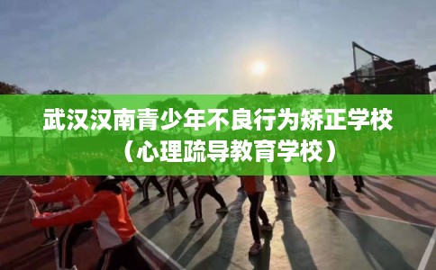 武汉汉南青少年不良行为矫正学校（心理疏导教育学校）