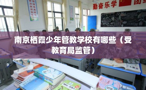 南京栖霞少年管教学校有哪些（受教育局监管）