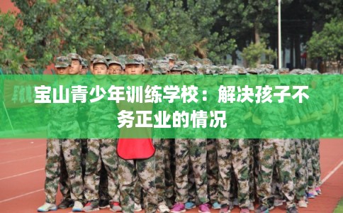 宝山青少年训练学校：解决孩子不务正业的情况