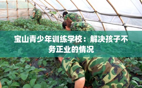 宝山青少年训练学校：解决孩子不务正业的情况