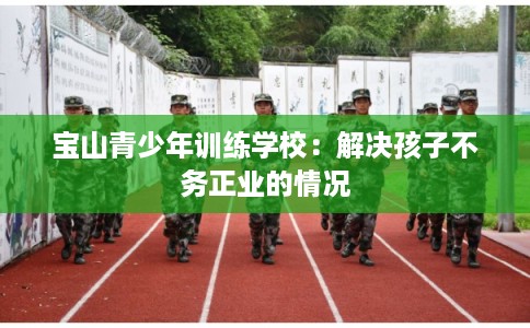 宝山青少年训练学校：解决孩子不务正业的情况