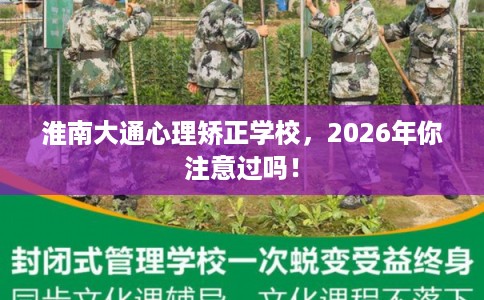 淮南大通心理矫正学校，2026年你注意过吗！