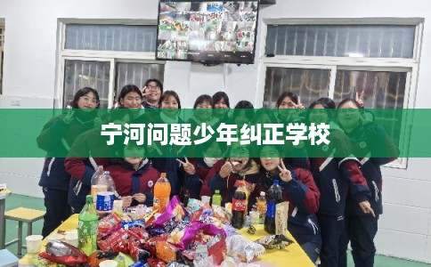 宁河问题少年纠正学校