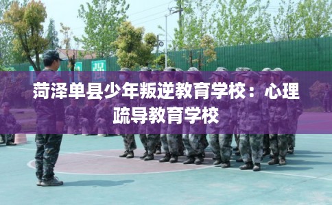 菏泽单县少年叛逆教育学校:心理疏导教育学校 菏泽单县少年叛逆教育学校:心理疏导教育学校