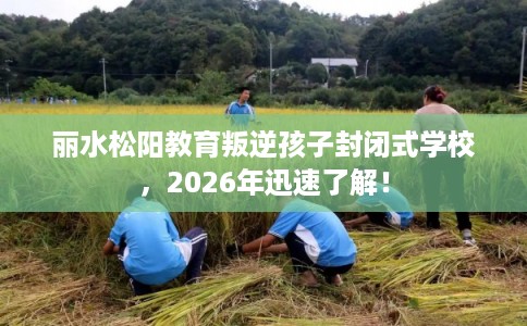 丽水松阳教育叛逆孩子封闭式学校，2026年迅速了解！
