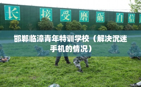 邯郸临漳青年特训学校（解决沉迷手机的情况）