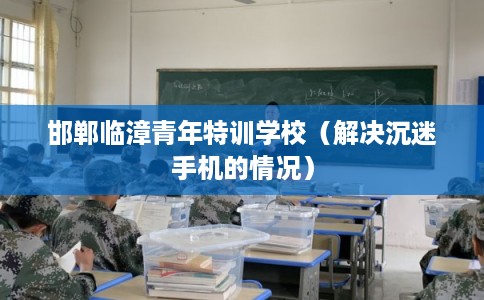 邯郸临漳青年特训学校（解决沉迷手机的情况）