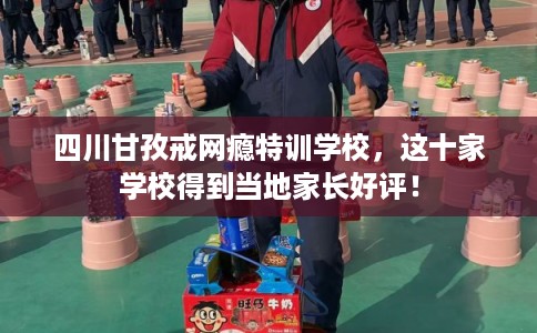 四川甘孜戒网瘾特训学校，这十家学校得到当地家长好评！