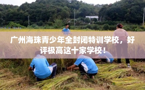 广州海珠青少年全封闭特训学校，好评极高这十家学校！