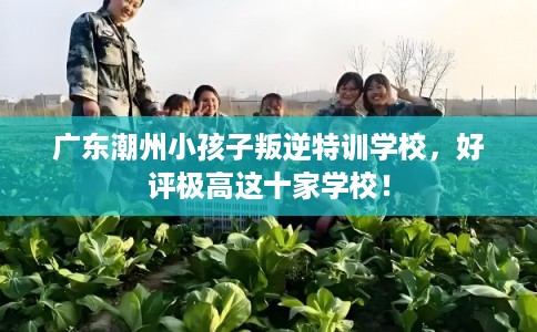 广东潮州小孩子叛逆特训学校,好评极高这十家学校! 广东潮州小孩子叛逆特训学校,好评极高这十家学校!
