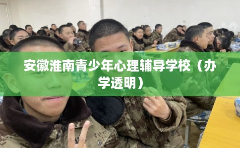 安徽淮南青少年心理辅导学校（办学透明）