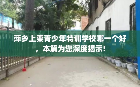 萍乡上栗青少年特训学校哪一个好，本篇为您深度揭示!