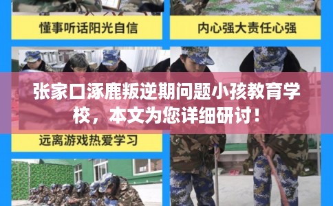 张家口涿鹿叛逆期问题小孩教育学校，本文为您详细研讨！
