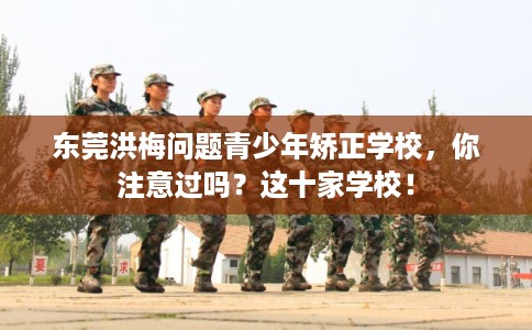 东莞洪梅问题青少年矫正学校，你注意过吗？这十家学校！