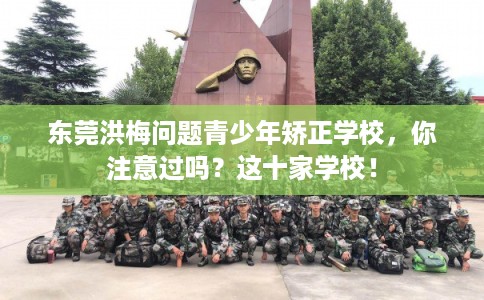 东莞洪梅问题青少年矫正学校，你注意过吗？这十家学校！